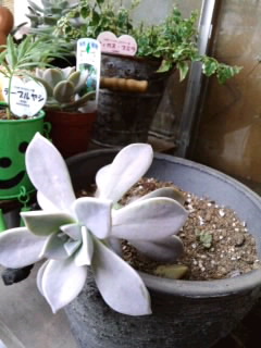 07/03