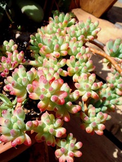 05/06