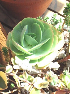 06/08