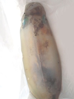 05/22